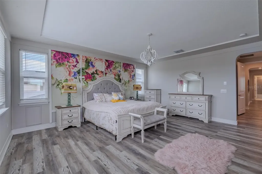 29527 Picana Lane Wesley Chapel FL 33543