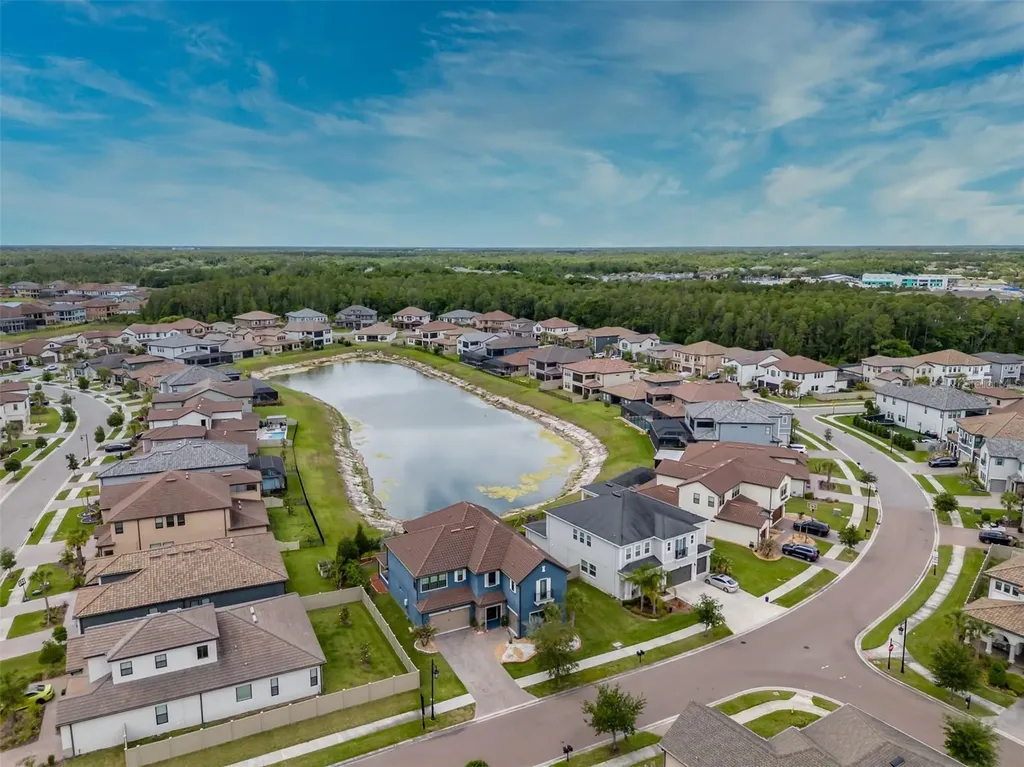 29527 Picana Lane Wesley Chapel FL 33543
