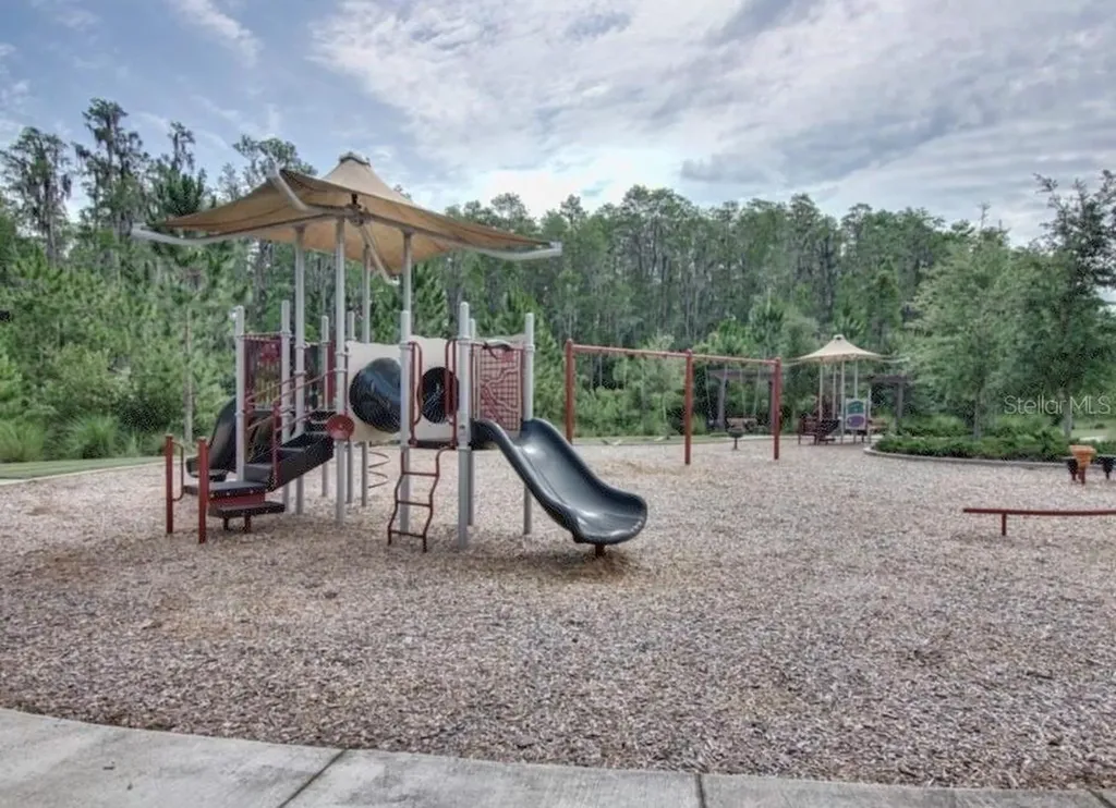 29527 Picana Lane Wesley Chapel FL 33543