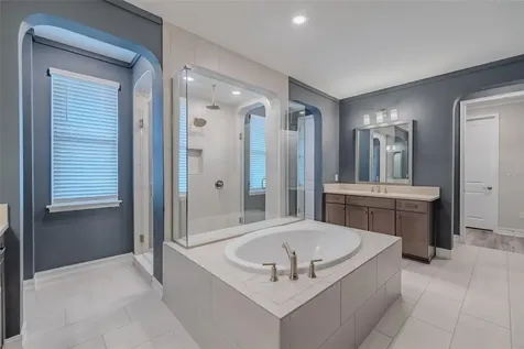 29527 Picana Lane Wesley Chapel FL 33543