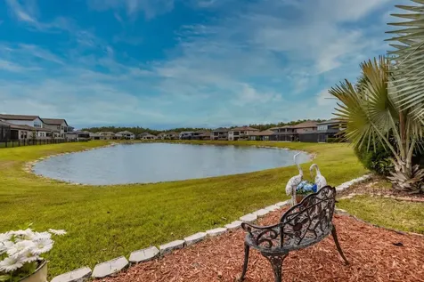 29527 Picana Lane Wesley Chapel FL 33543