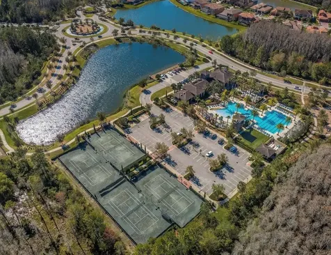 29527 Picana Lane Wesley Chapel FL 33543