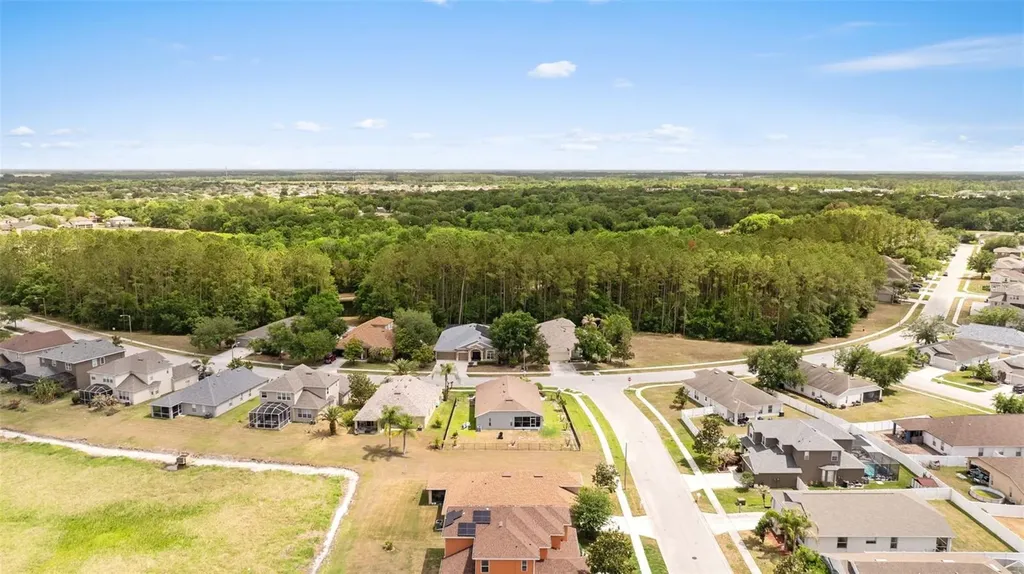 7619 Crescent Palm Drive Wesley Chapel FL 33545