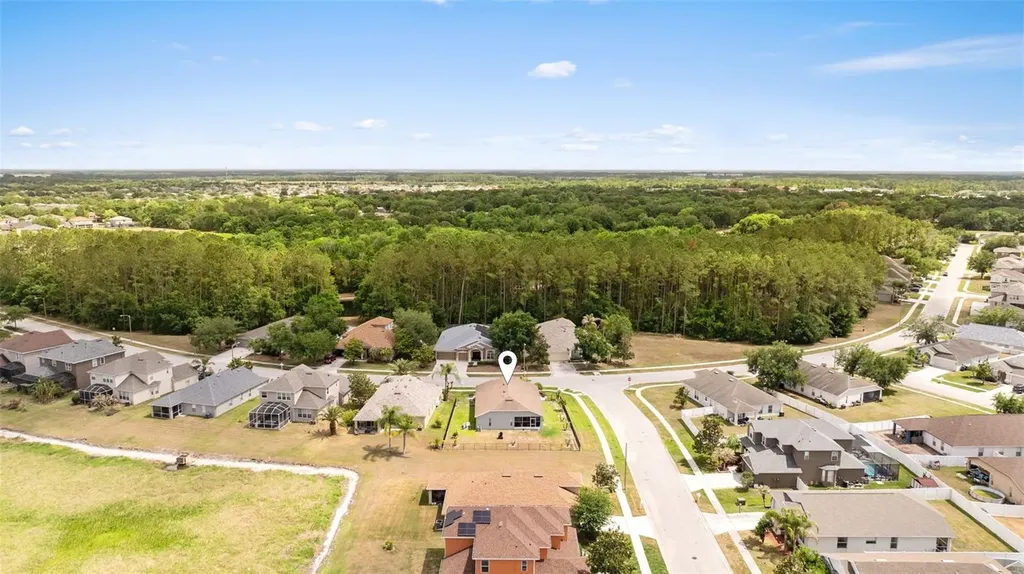 7619 Crescent Palm Drive Wesley Chapel FL 33545