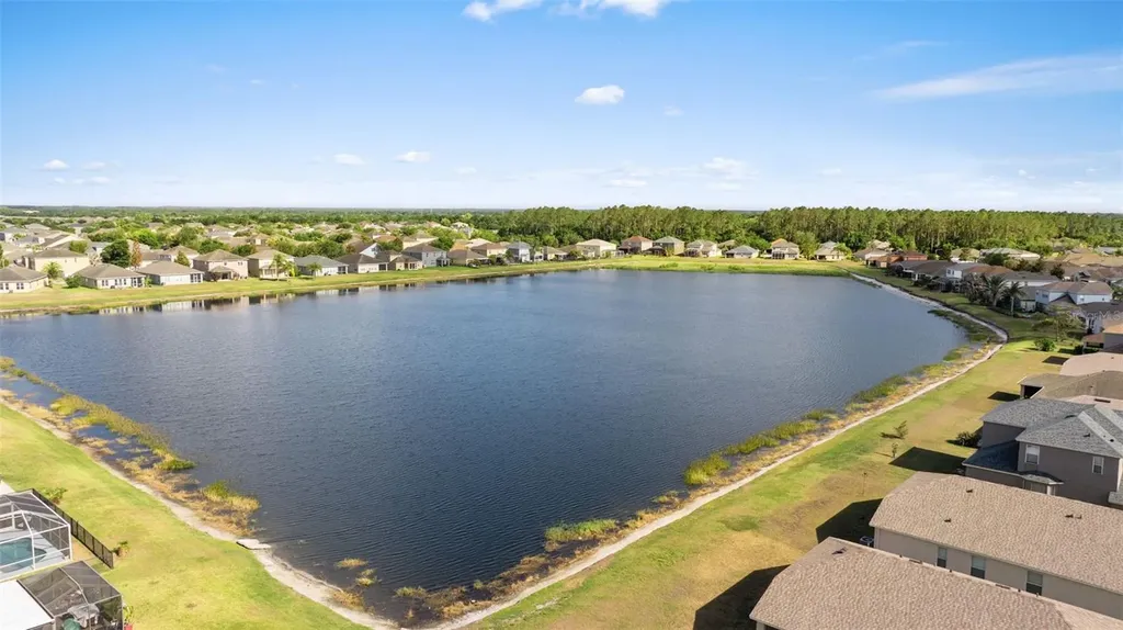 7619 Crescent Palm Drive Wesley Chapel FL 33545