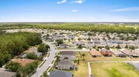7619 Crescent Palm Drive Wesley Chapel FL 33545