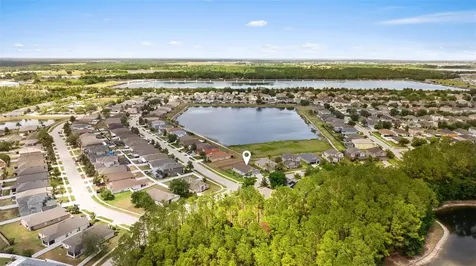 7619 Crescent Palm Drive Wesley Chapel FL 33545