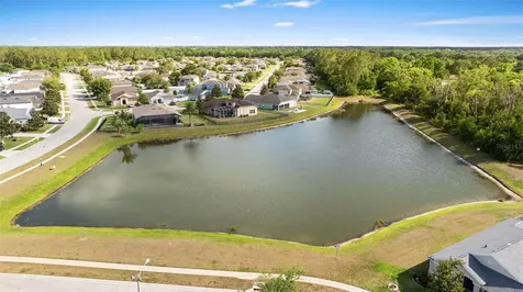 7619 Crescent Palm Drive Wesley Chapel FL 33545