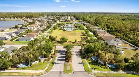 7619 Crescent Palm Drive Wesley Chapel FL 33545