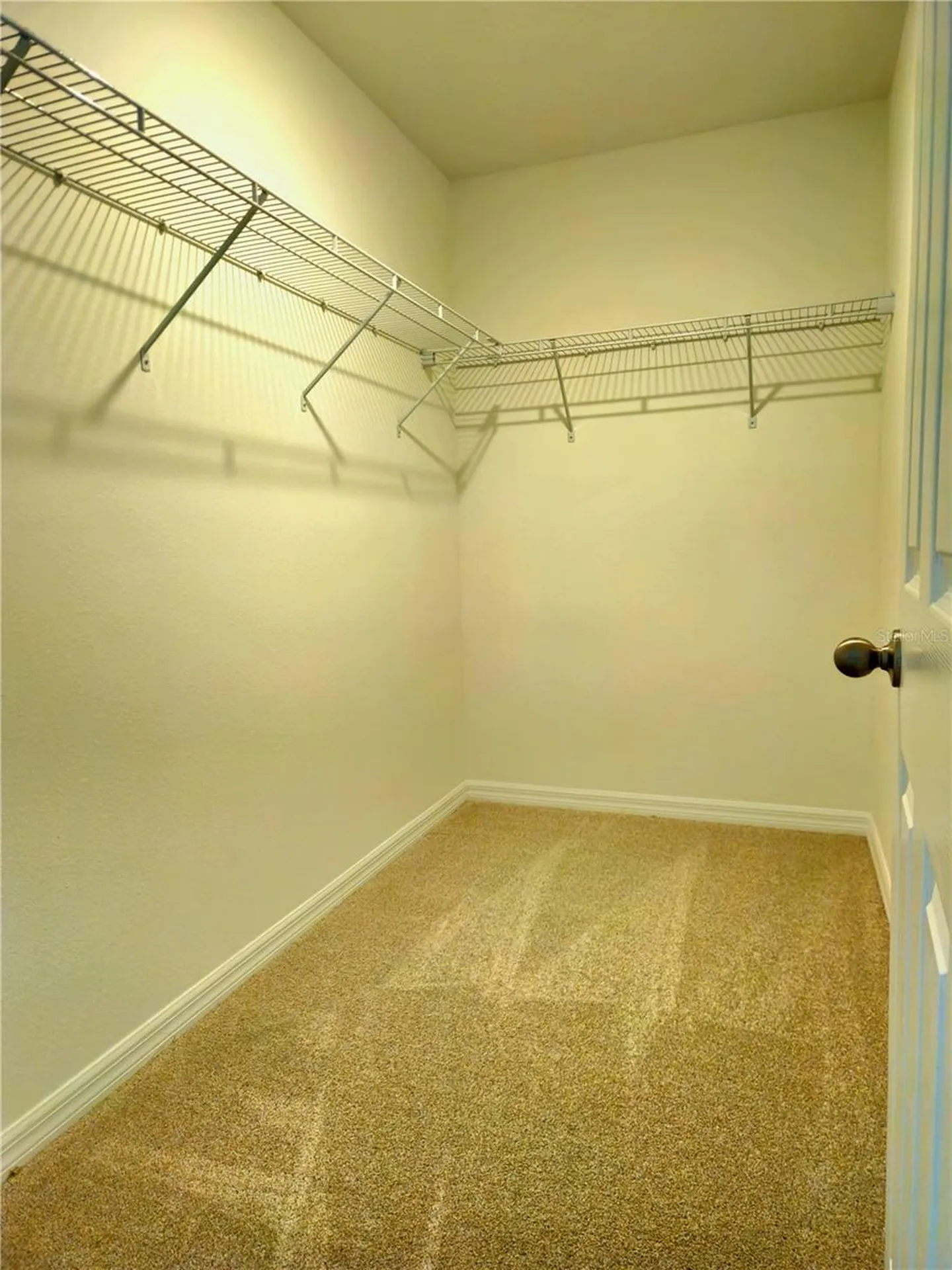16305 Bird Of Paradise Avenue Clermont FL 34714