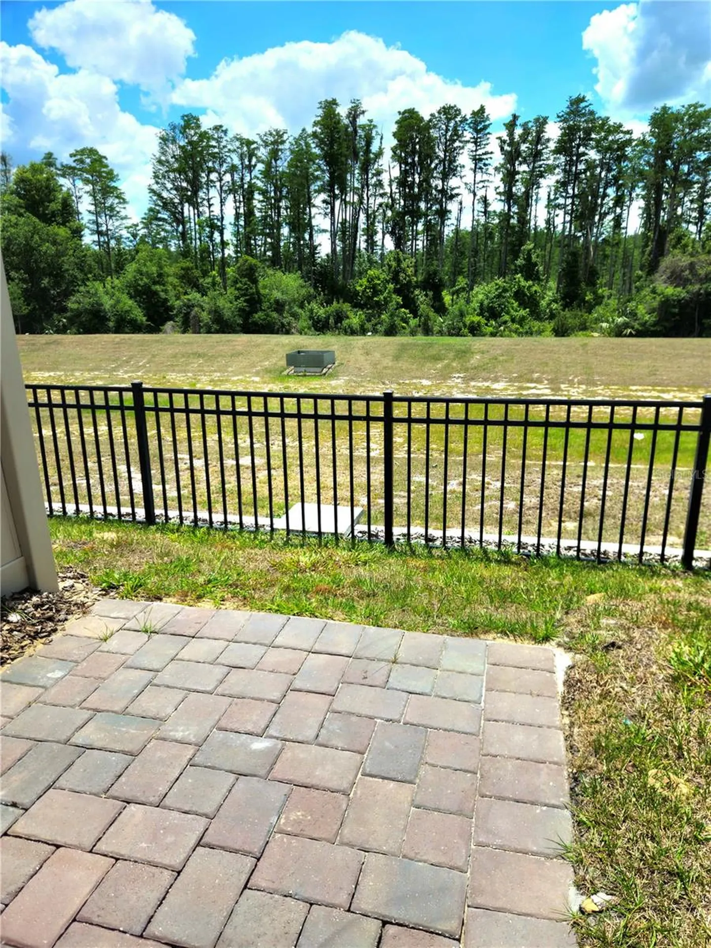 16305 Bird Of Paradise Avenue Clermont FL 34714