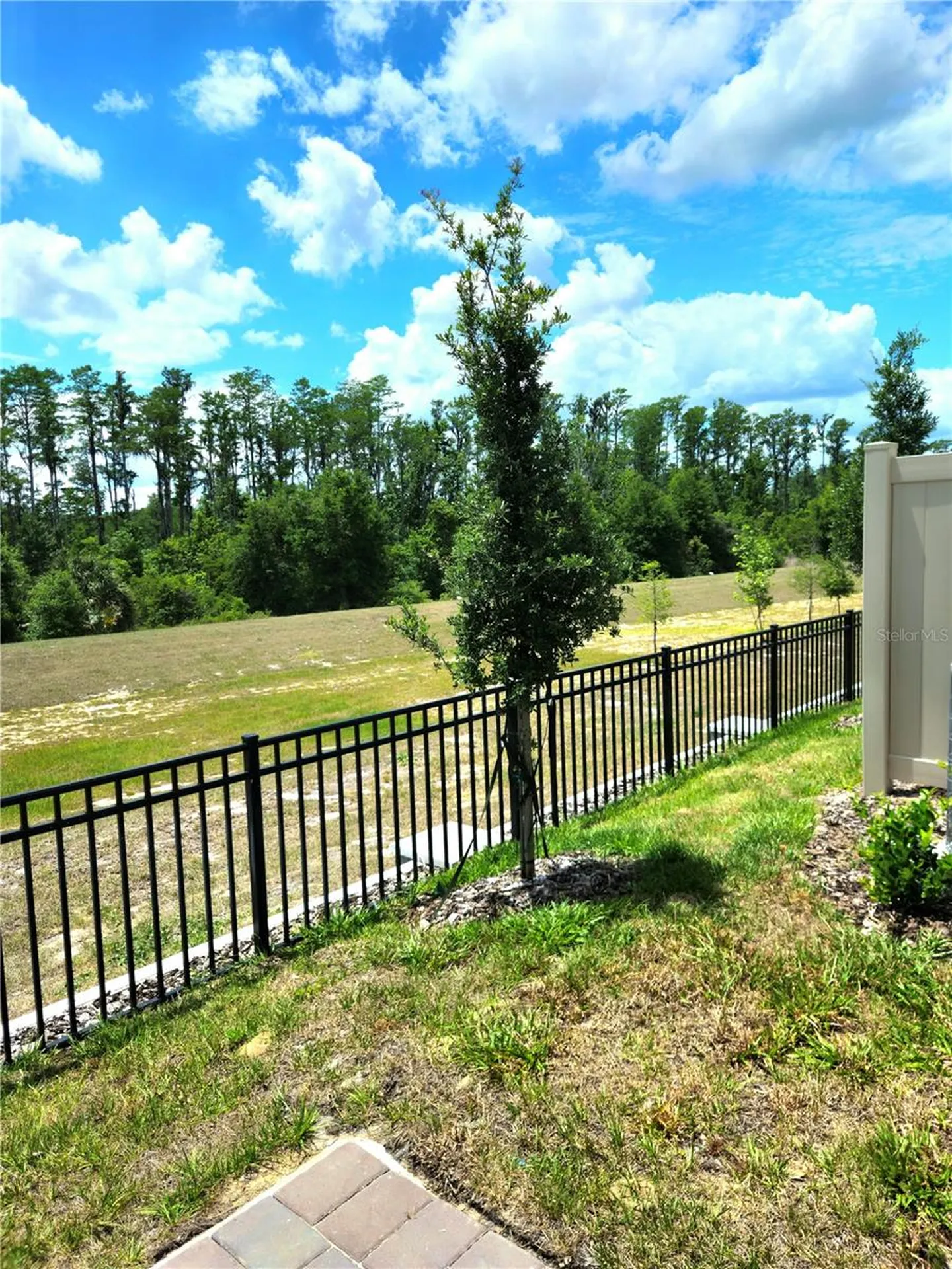 16305 Bird Of Paradise Avenue Clermont FL 34714