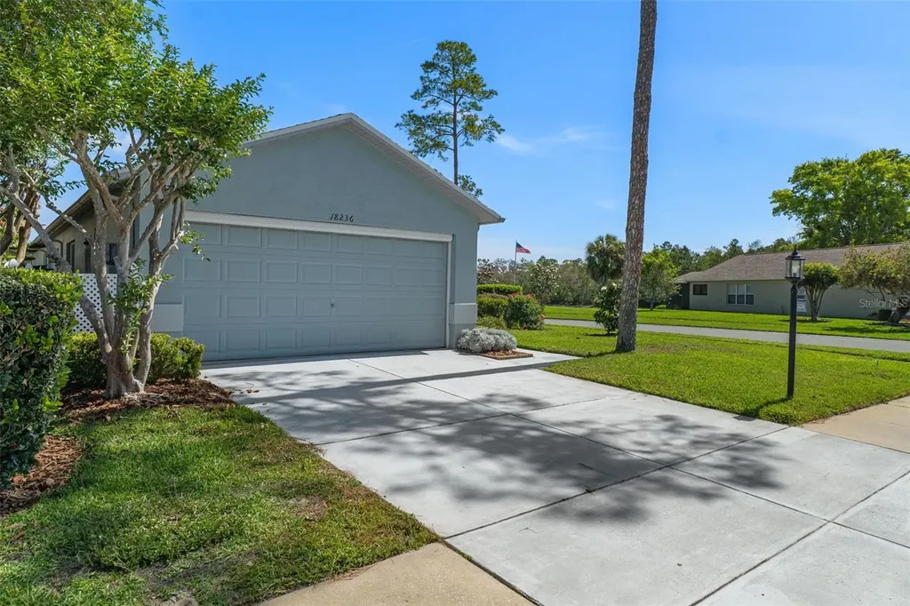 18236 Webster Grove Drive Hudson FL 34667