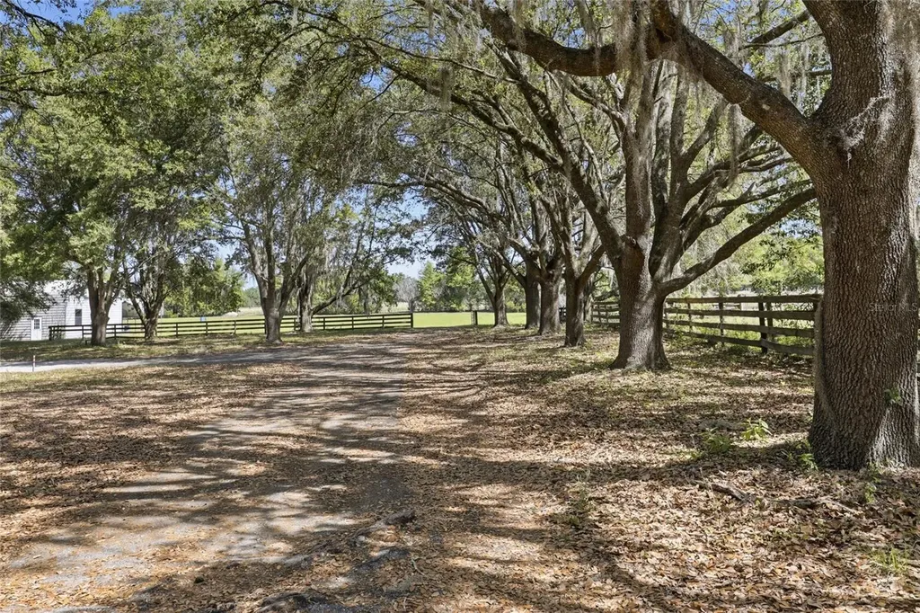 24026 NW 126th Lane Alachua FL 32615