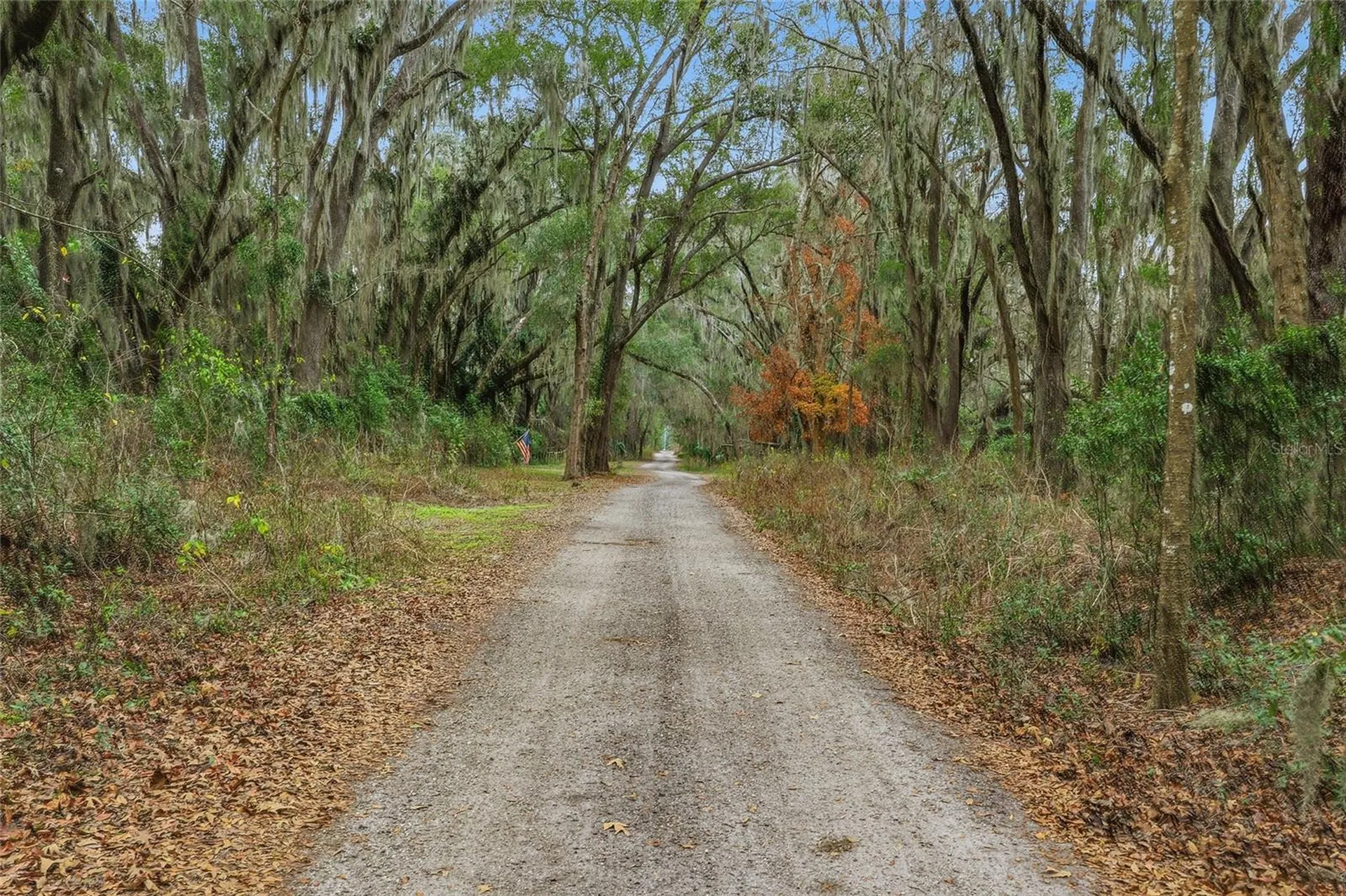 24026 NW 126th Lane Alachua FL 32615