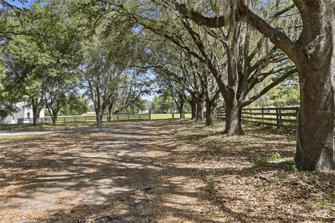 24026 NW 126th Lane Alachua FL 32615