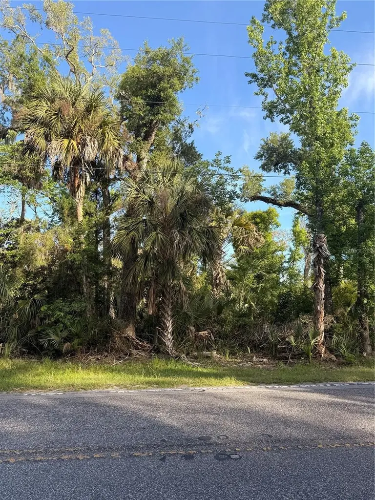 10274 W Ozello Trail Crystal River FL 34429