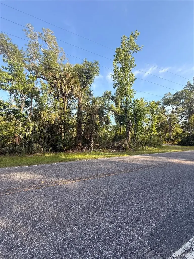 10274 W Ozello Trail Crystal River FL 34429