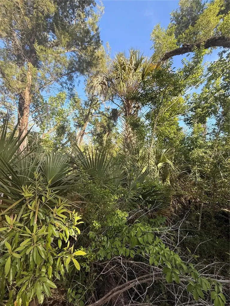 10274 W Ozello Trail Crystal River FL 34429