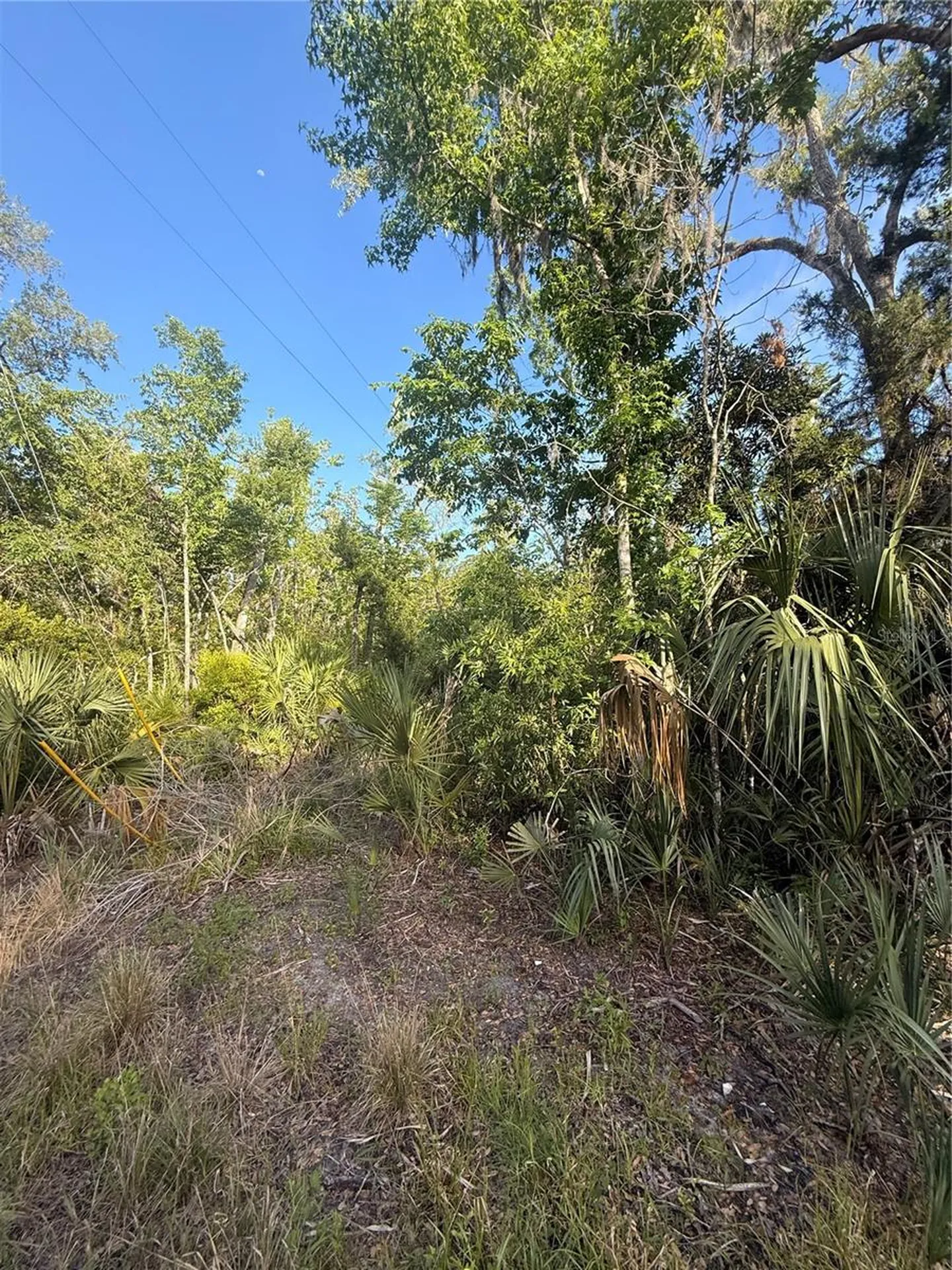 10274 W Ozello Trail Crystal River FL 34429