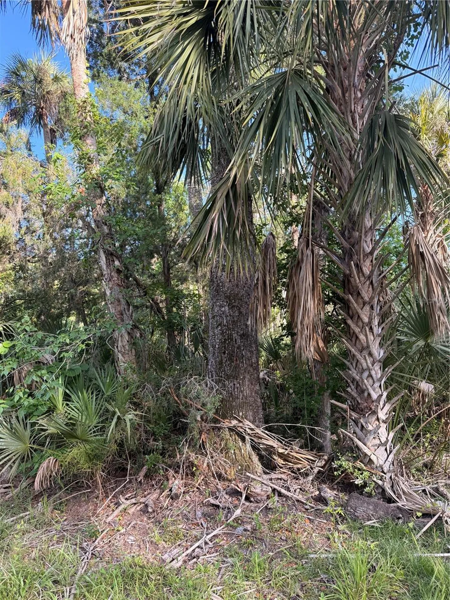 10274 W Ozello Trail Crystal River FL 34429