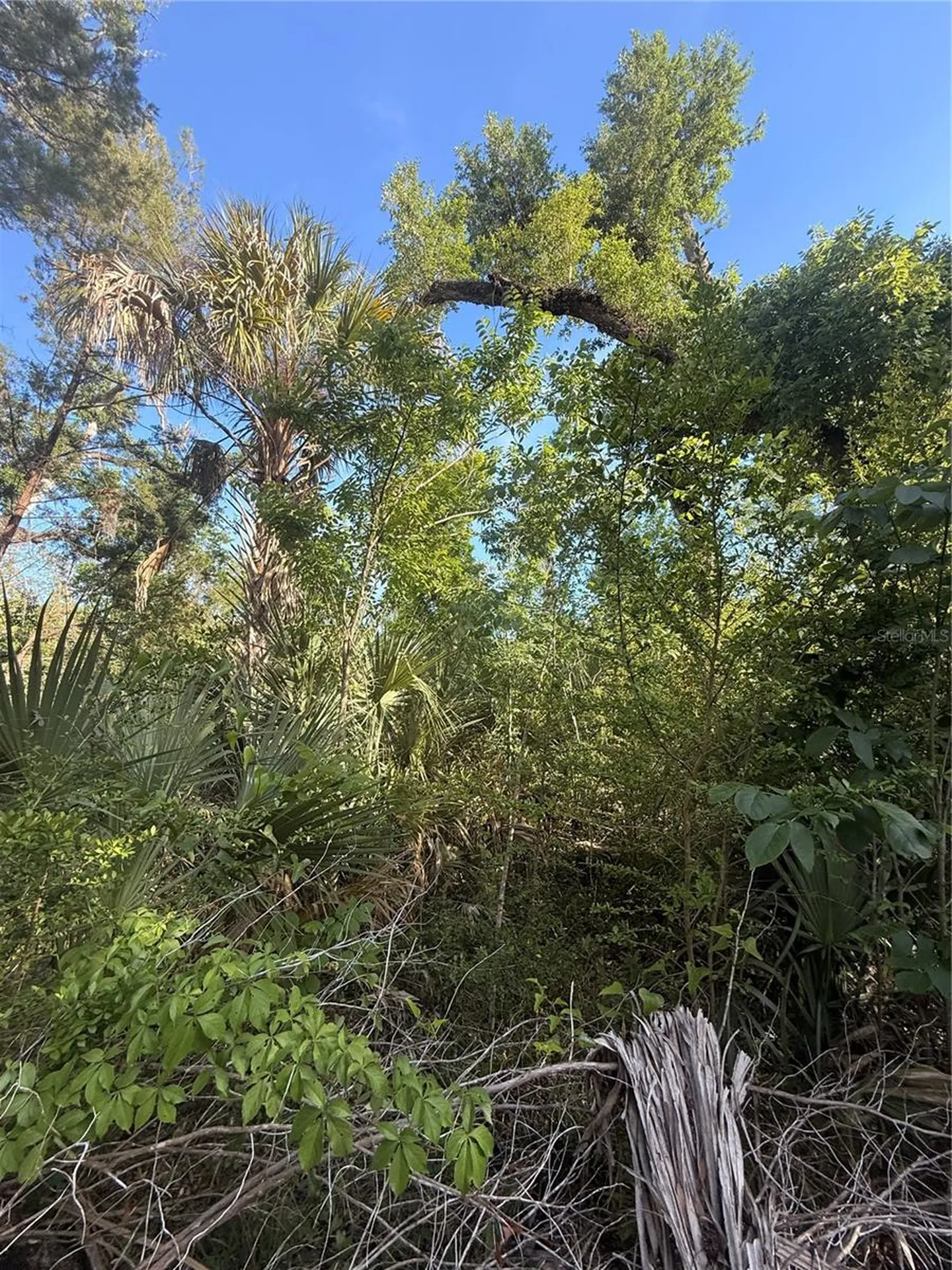 10274 W Ozello Trail Crystal River FL 34429