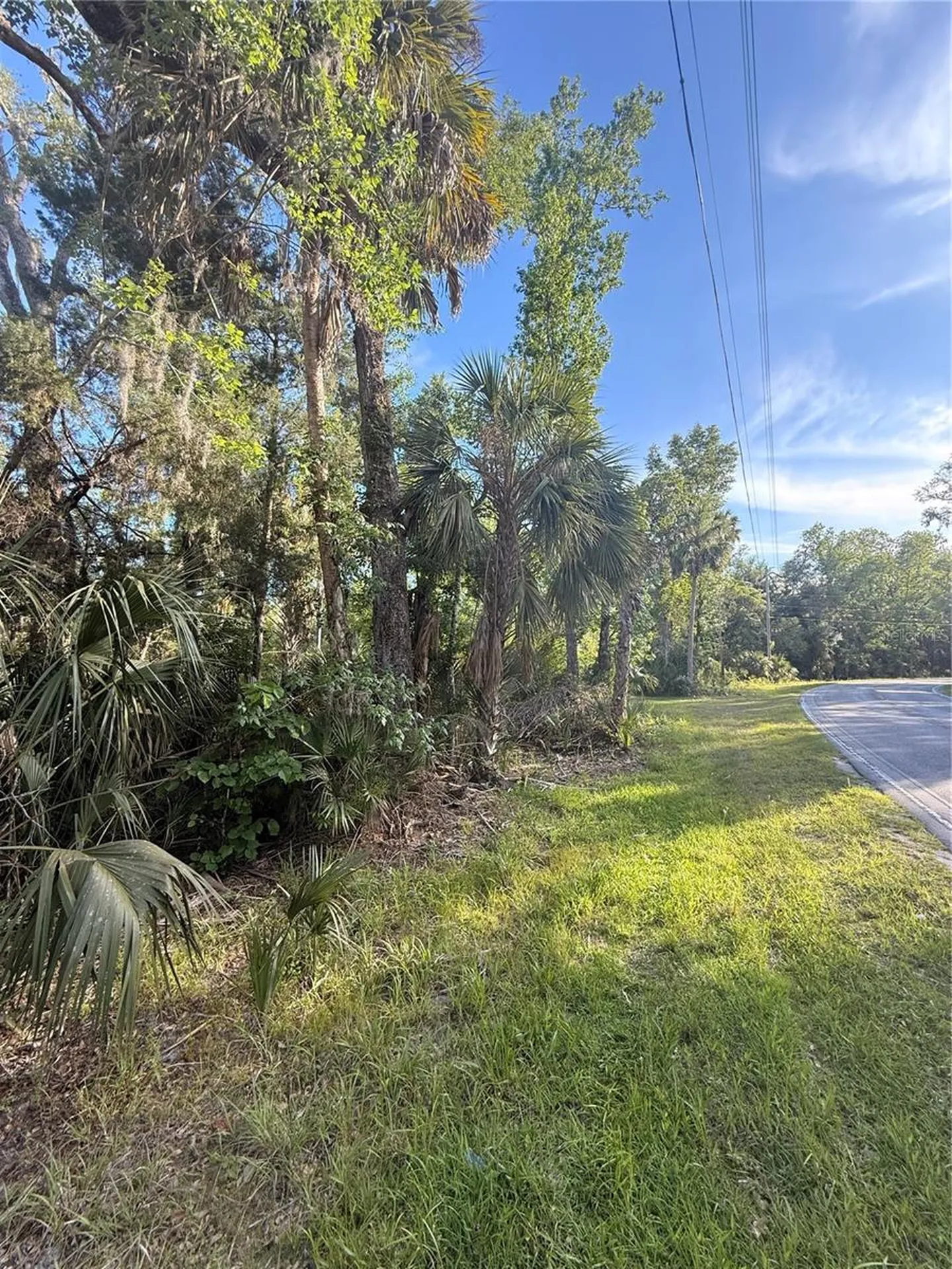 10274 W Ozello Trail Crystal River FL 34429