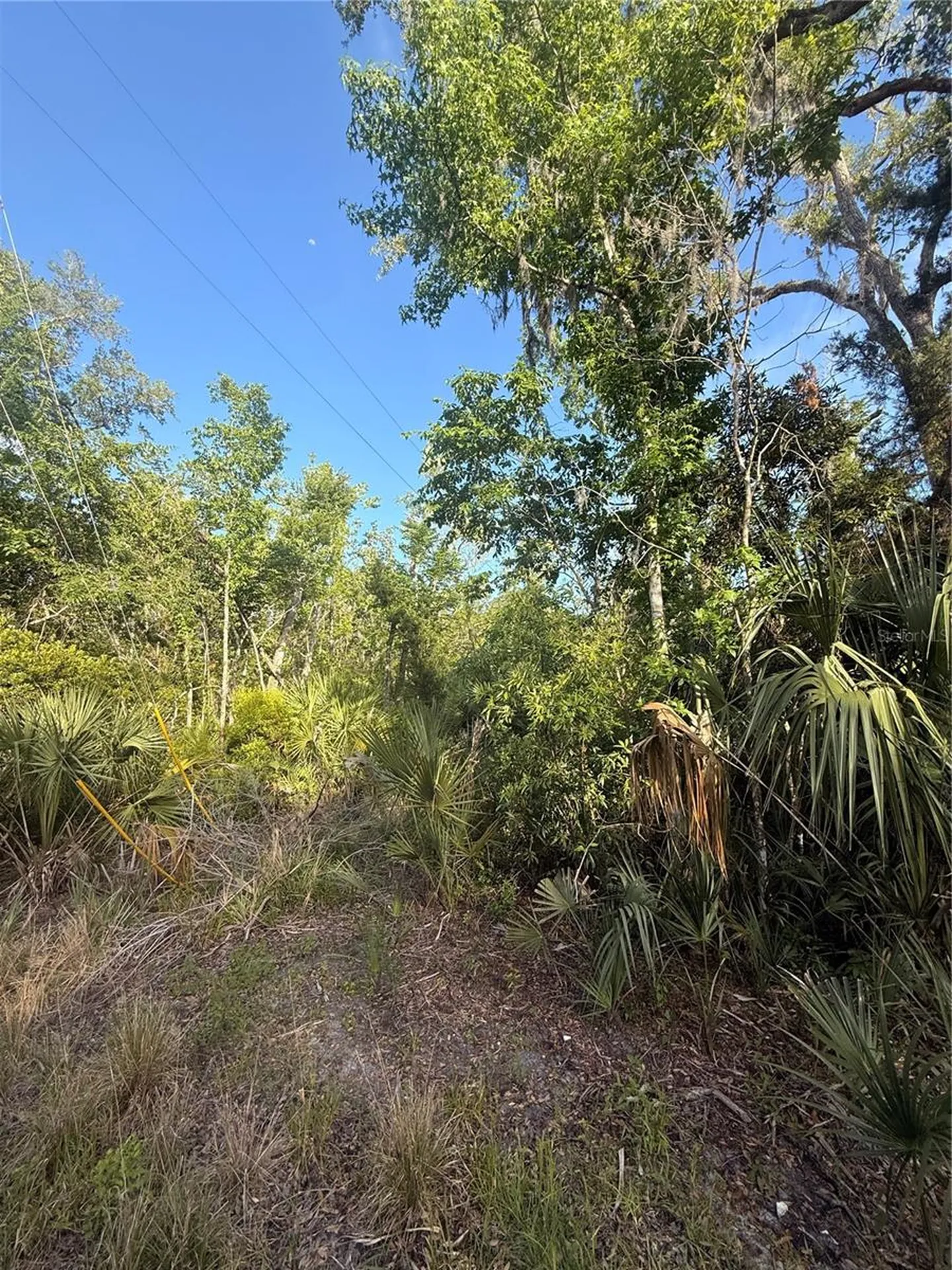 10274 W Ozello Trail Crystal River FL 34429