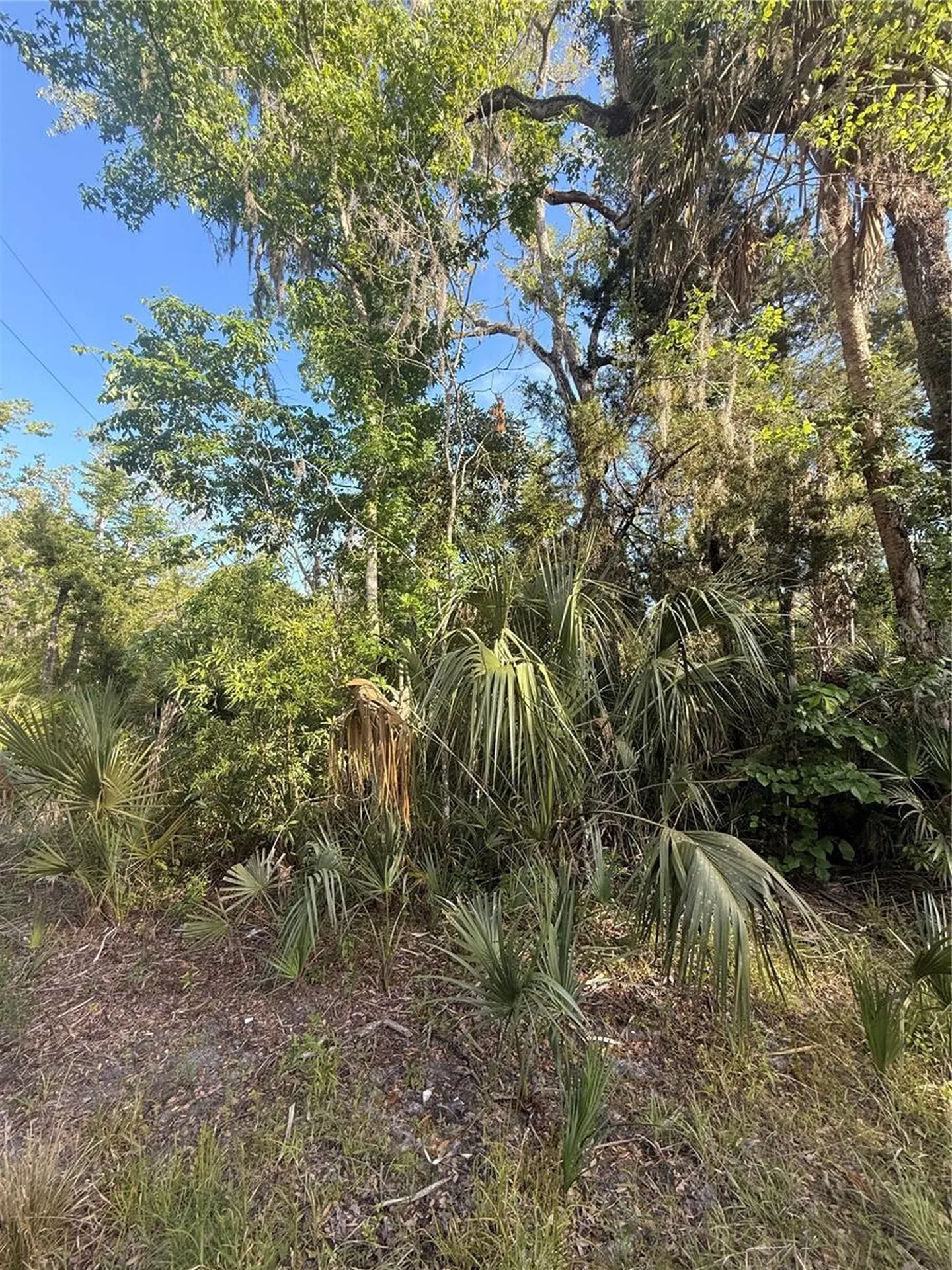 10274 W Ozello Trail Crystal River FL 34429