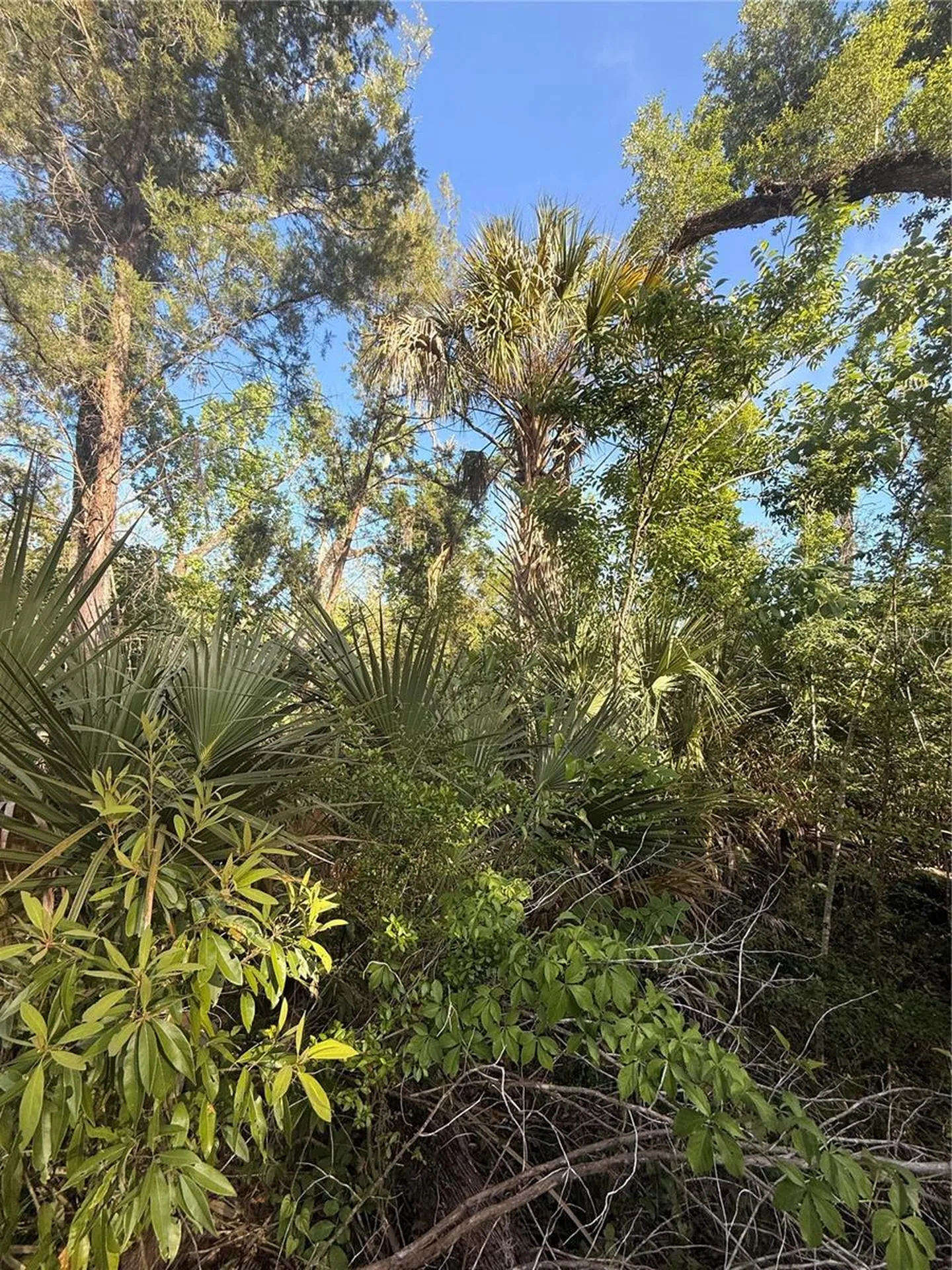 10274 W Ozello Trail Crystal River FL 34429