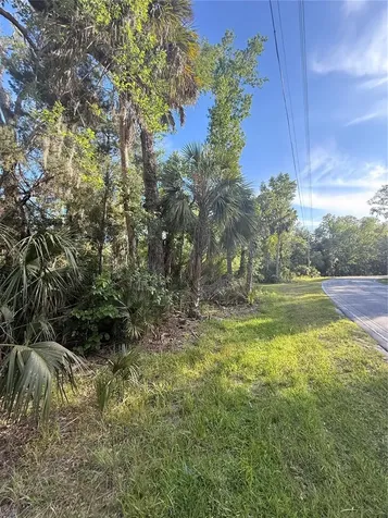 10274 W Ozello Trail Crystal River FL 34429