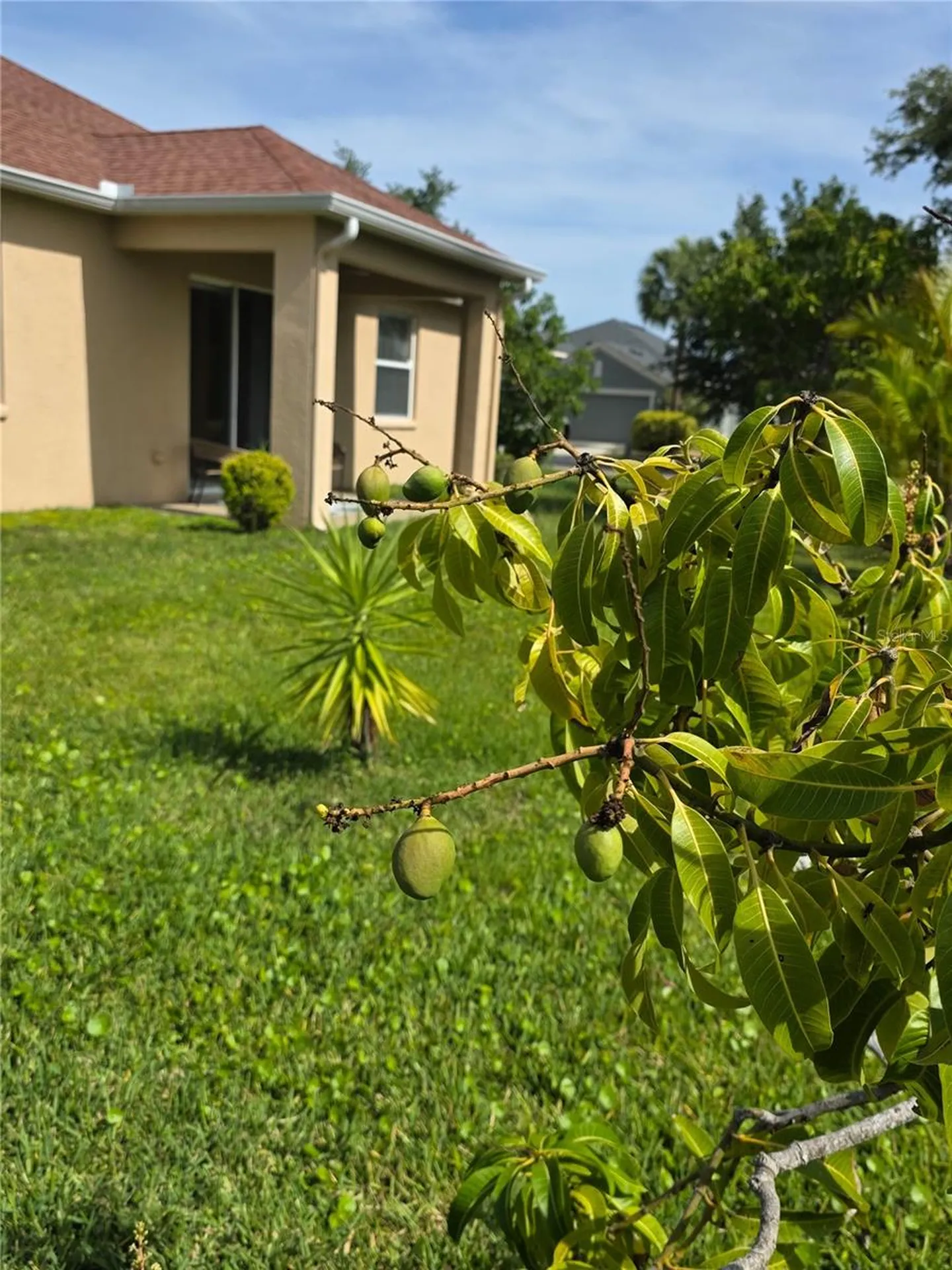 2604 Dakota Rock Drive Ruskin FL 33570