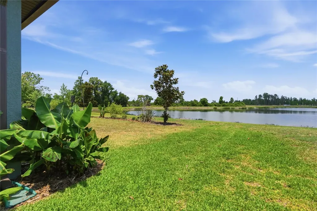 9157 Shadyside Lane Land O Lakes FL 34637