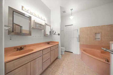 8528 SE 157th Place Summerfield FL 34491