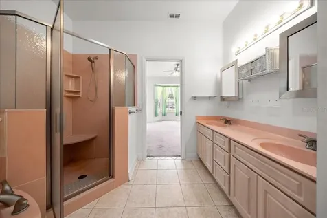 8528 SE 157th Place Summerfield FL 34491