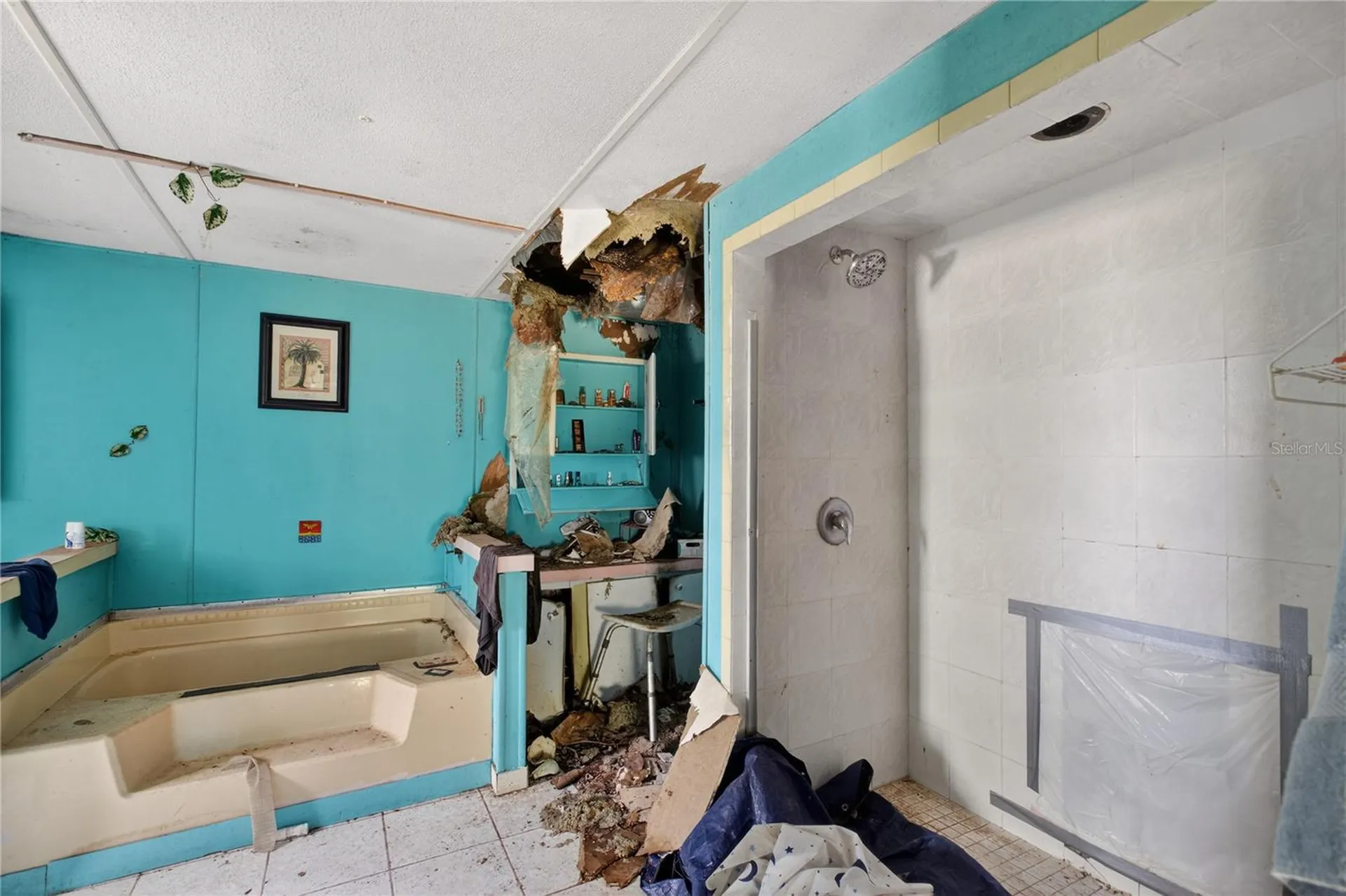 2632 Frances Drive Deland FL 32724