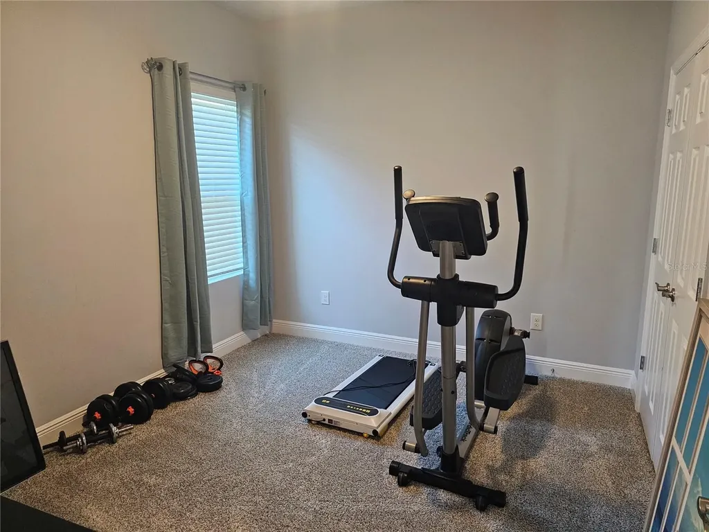 3618 Persimmon Park Drive Wesley Chapel FL 33543