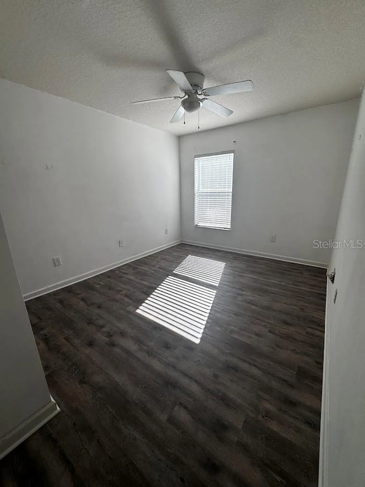 495 Painted Leaf Drive Brooksville FL 34604