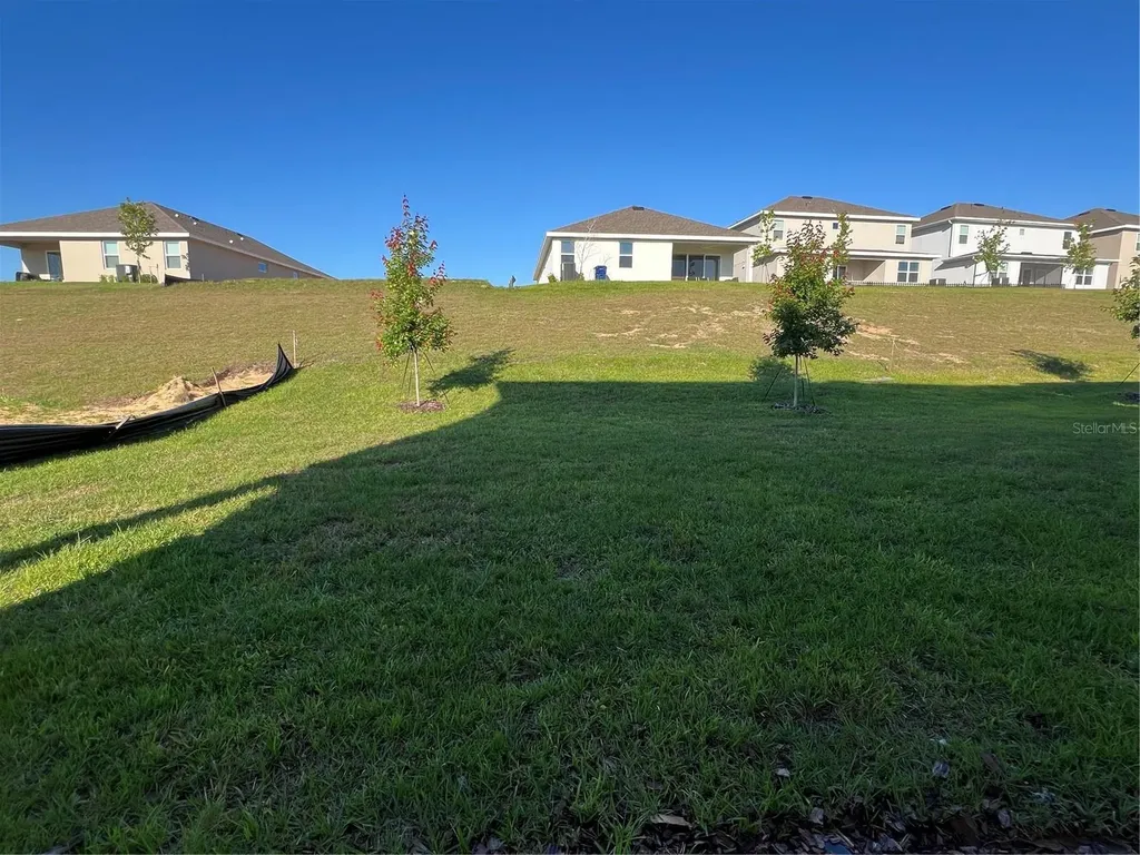 1715 Cadence Street Minneola FL 34715