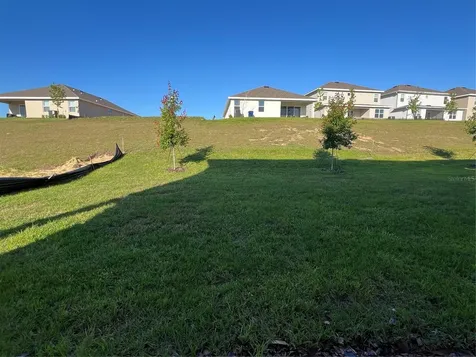 1715 Cadence Street Minneola FL 34715