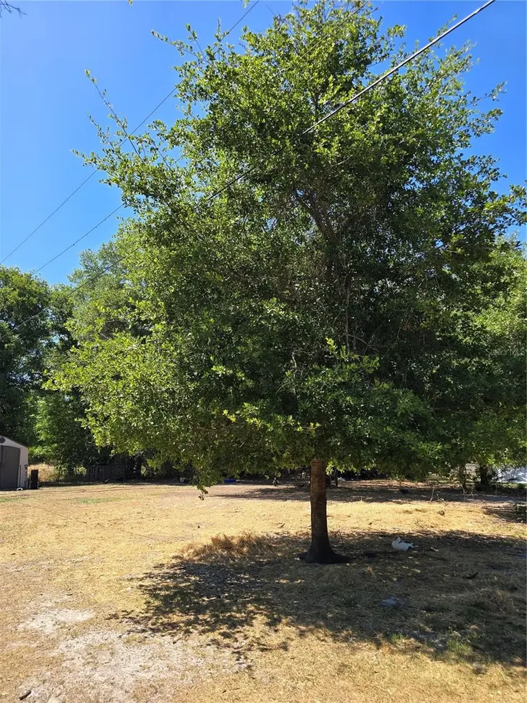 27137 Miller Road Dade City FL 33525