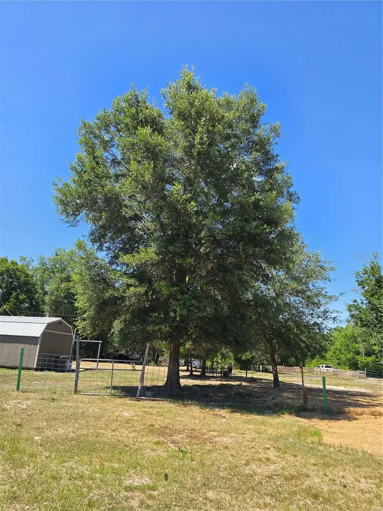 27137 Miller Road Dade City FL 33525