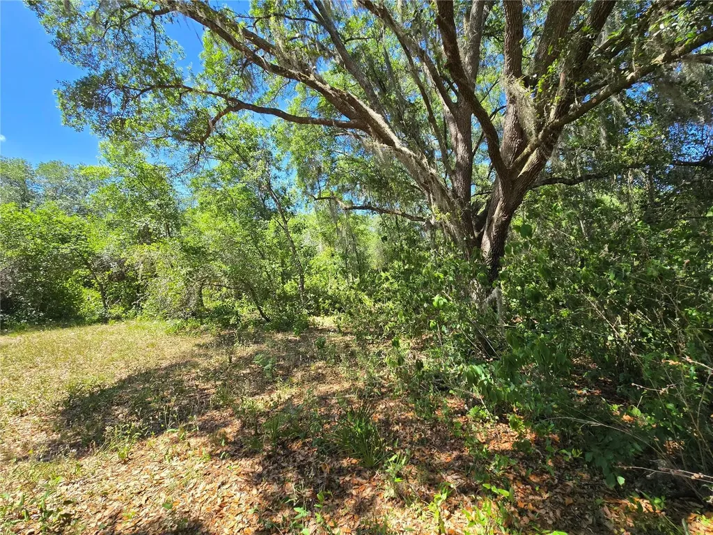 27137 Miller Road Dade City FL 33525