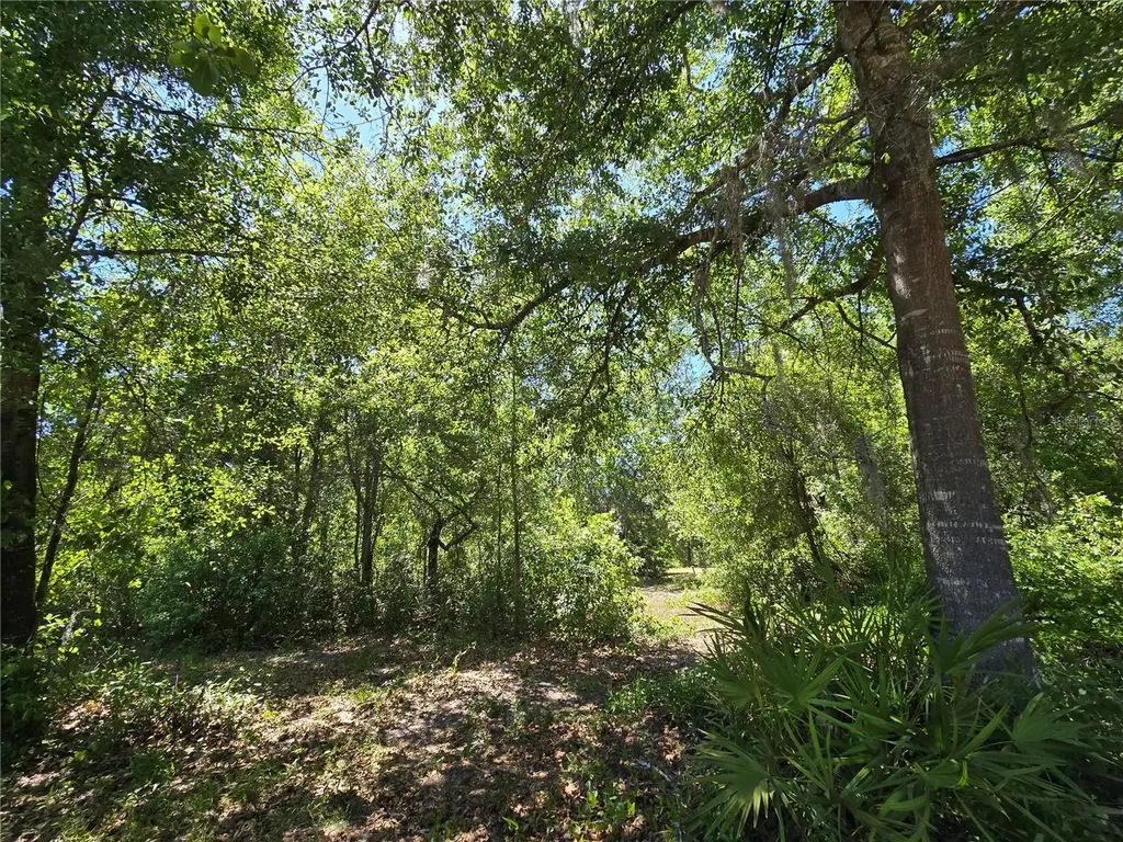 27137 Miller Road Dade City FL 33525