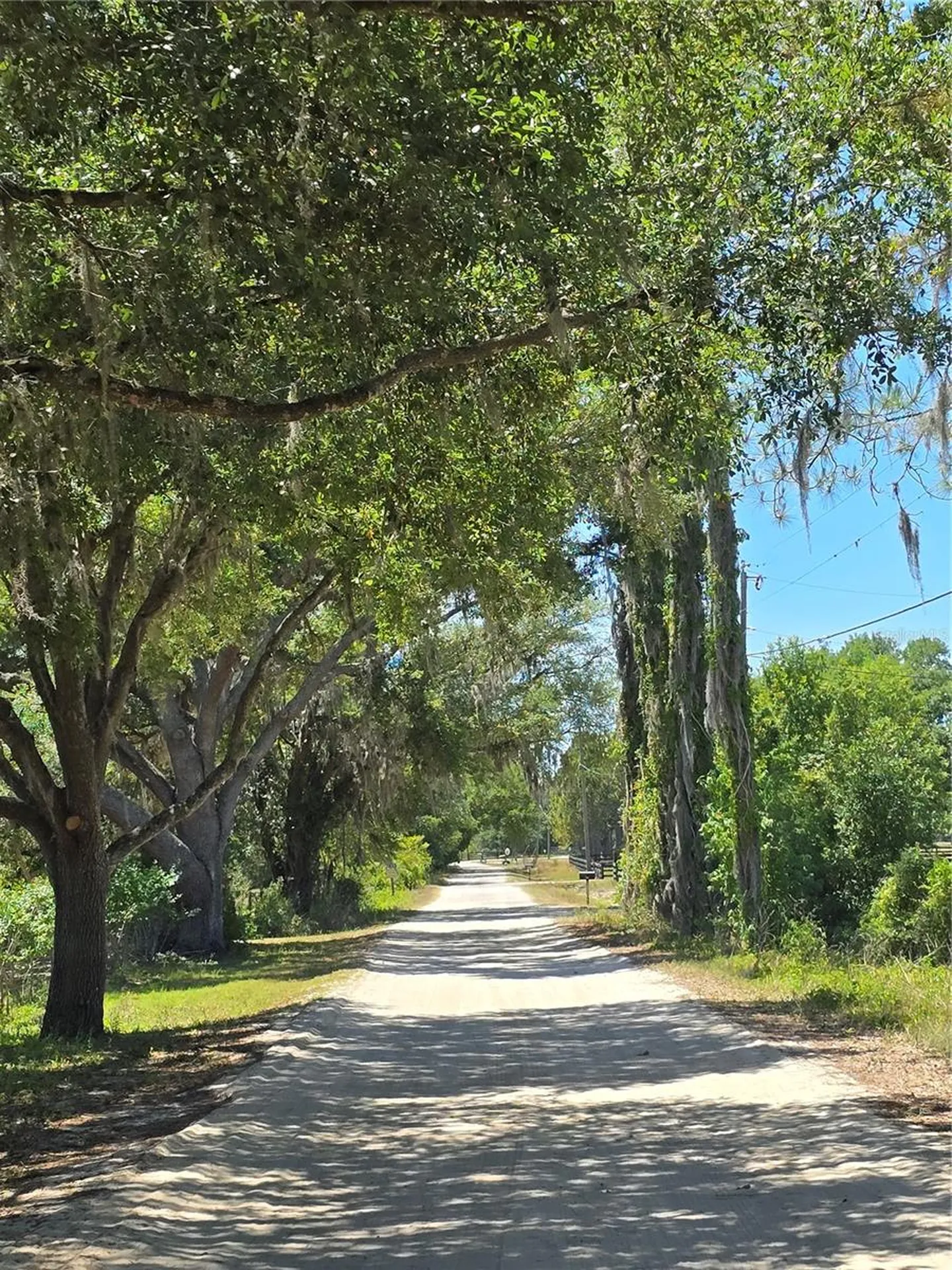 27137 Miller Road Dade City FL 33525