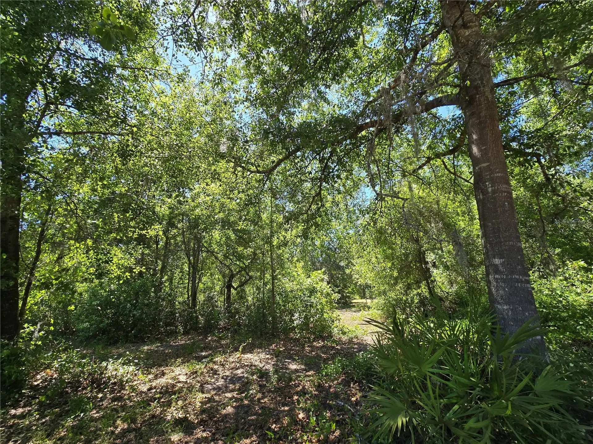 27137 Miller Road Dade City FL 33525