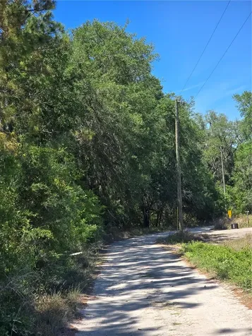 27137 Miller Road Dade City FL 33525