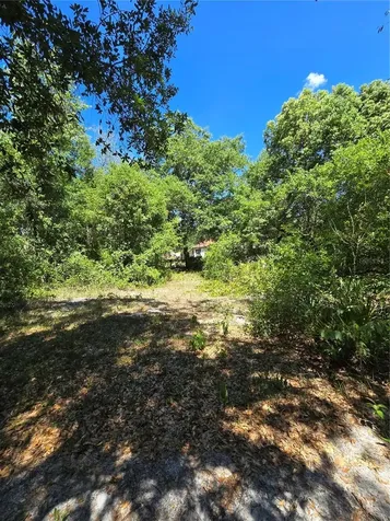 27137 Miller Road Dade City FL 33525