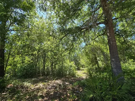27137 Miller Road Dade City FL 33525