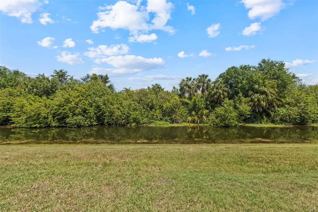 151 Bright Ibis Avenue Apollo Beach FL 33572